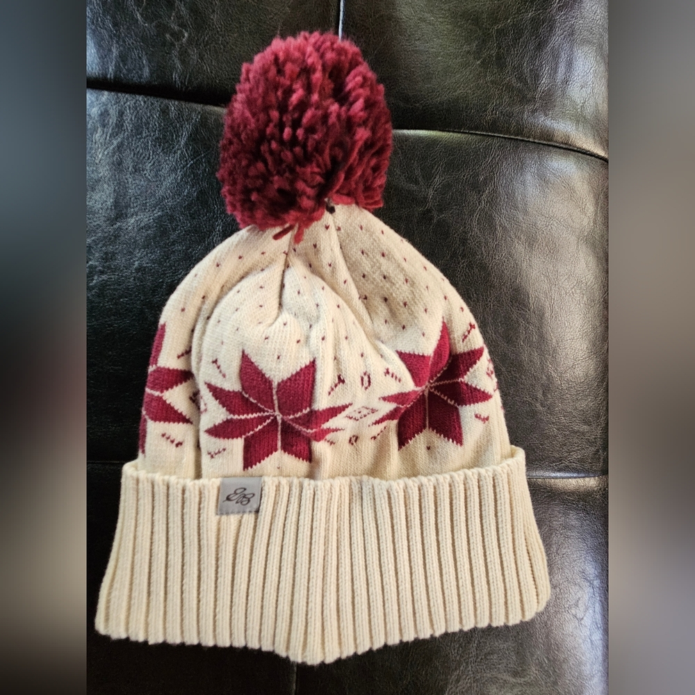 BNWOT eddie bauer pom pom Beanie.